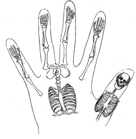 Иллюстрация к книге — От сомнений к определенности. Опыт врача [i_047.jpg]