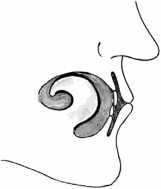 Иллюстрация к книге — От сомнений к определенности. Опыт врача [i_052.jpg]