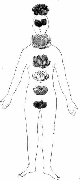 Иллюстрация к книге — От сомнений к определенности. Опыт врача [i_053.jpg]
