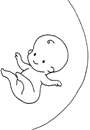 Иллюстрация к книге — Ваш любимый человечек от зачатия до рождения [i_007.jpg]