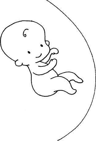 Иллюстрация к книге — Ваш любимый человечек от зачатия до рождения [i_008.jpg]