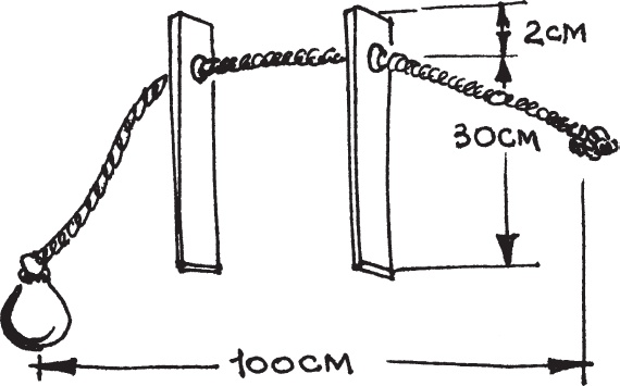 Иллюстрация к книге — Восстанавливаем зрение за 15 минут в день [_27.jpg]