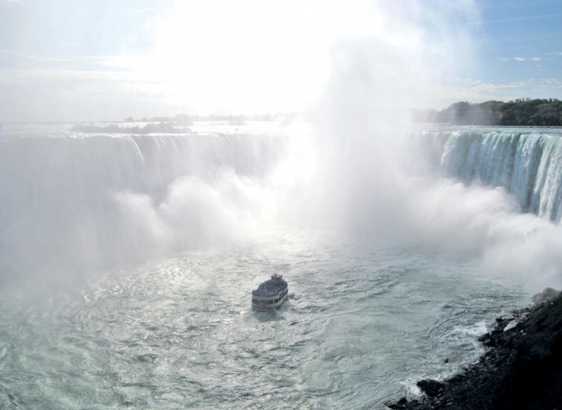 Иллюстрация к книге — Человек, который продал жизнь на eBay [a9r462f.jpg]