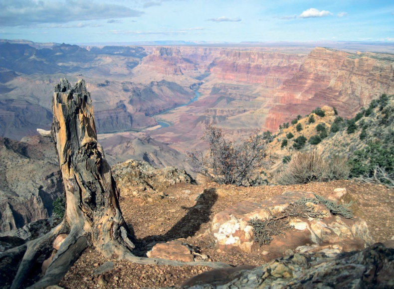 Иллюстрация к книге — Человек, который продал жизнь на eBay [a9r4631.jpg]