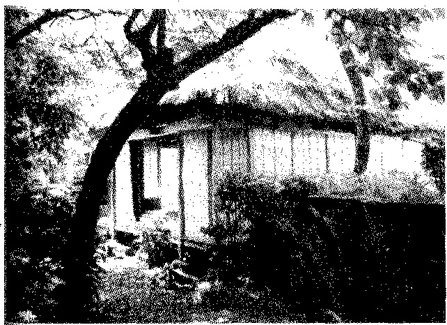 Иллюстрация к книге — Последний самурай [image6.jpg]