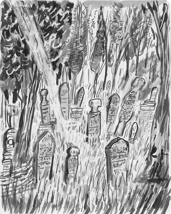 Иллюстрация к книге — Мои странные мысли [i_003.jpg]