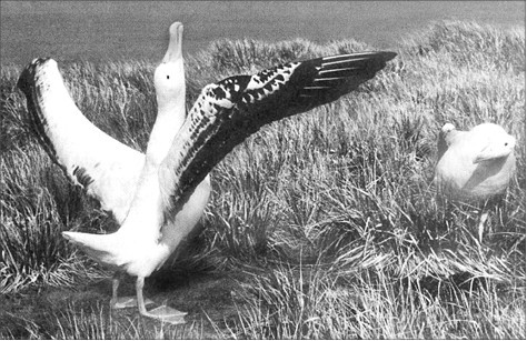 Иллюстрация к книге — Психология влияния [_3.jpg]