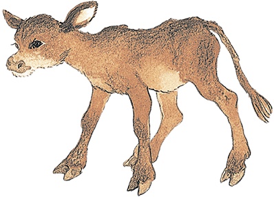 Иллюстрация к книге — Новые приключения Мадикен [i_068.jpg]