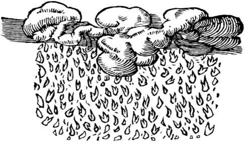 Иллюстрация к книге — Магия царей. Кто тайно правит миром [i_003.jpg]