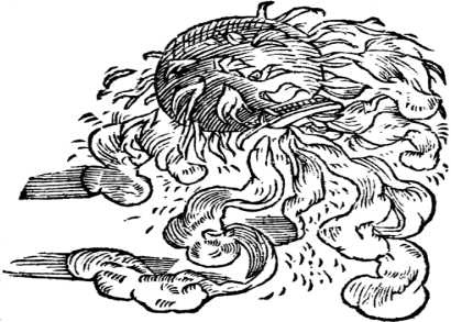 Иллюстрация к книге — Магия царей. Кто тайно правит миром [i_007.jpg]