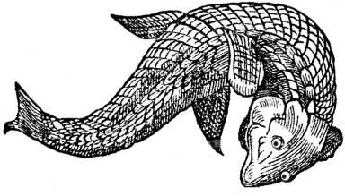 Иллюстрация к книге — Магия царей. Кто тайно правит миром [i_009.jpg]