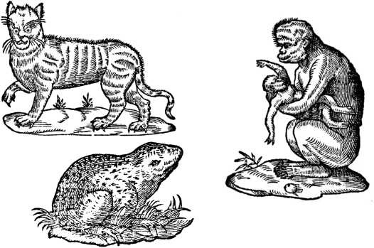 Иллюстрация к книге — Магия царей. Кто тайно правит миром [i_010.jpg]