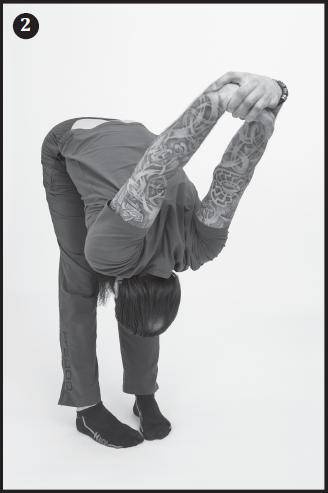 Иллюстрация к книге — Лучшие шаманские практики выздоровления [i_017.jpg]