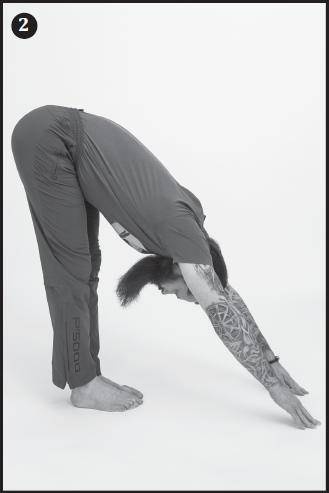 Иллюстрация к книге — Лучшие шаманские практики выздоровления [i_020.jpg]