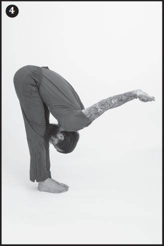 Иллюстрация к книге — Лучшие шаманские практики выздоровления [i_022.jpg]