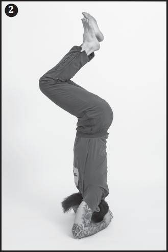 Иллюстрация к книге — Лучшие шаманские практики выздоровления [i_024.jpg]