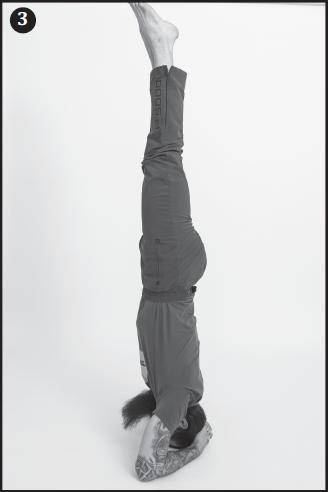 Иллюстрация к книге — Лучшие шаманские практики выздоровления [i_025.jpg]