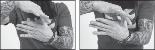 Иллюстрация к книге — Лучшие шаманские практики выздоровления [i_035.jpg]