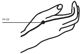 Иллюстрация к книге — Лучшие шаманские практики выздоровления [i_045.jpg]