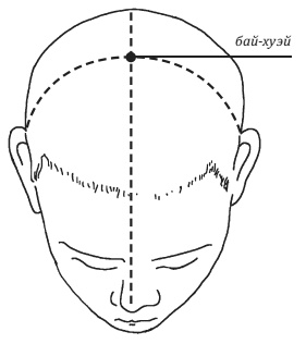 Иллюстрация к книге — Лучшие шаманские практики выздоровления [i_049.jpg]