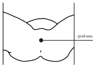 Иллюстрация к книге — Лучшие шаманские практики выздоровления [i_050.jpg]
