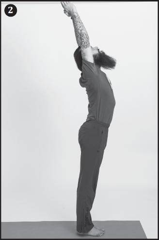 Иллюстрация к книге — Лучшие шаманские практики выздоровления [i_063.jpg]