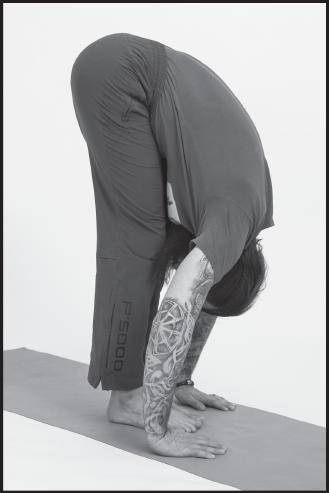 Иллюстрация к книге — Лучшие шаманские практики выздоровления [i_089.jpg]