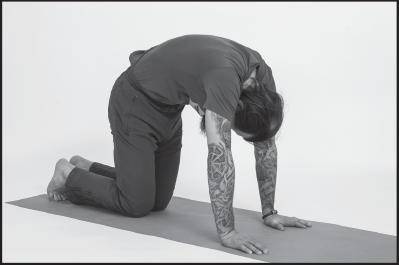 Иллюстрация к книге — Лучшие шаманские практики выздоровления [i_115.jpg]