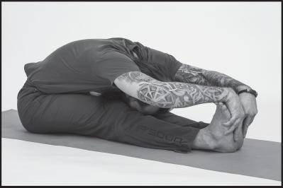 Иллюстрация к книге — Лучшие шаманские практики выздоровления [i_122.jpg]