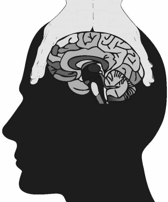 Иллюстрация к книге — На самом деле я умная, но живу как дура! [_057.jpg]