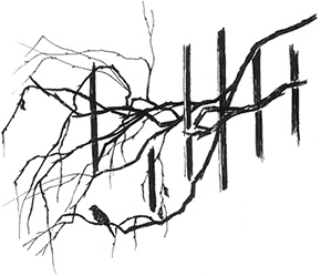 Иллюстрация к книге — Амальгама [i_010.jpg]