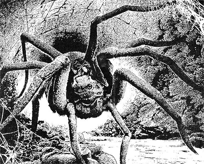 Иллюстрация к книге — Танец с нежитью [i_001.jpg]