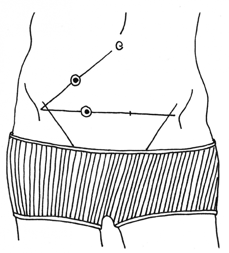 Иллюстрация к книге — Очаровательный кишечник. Как самый могущественный орган управляет нами [i_007.jpg]