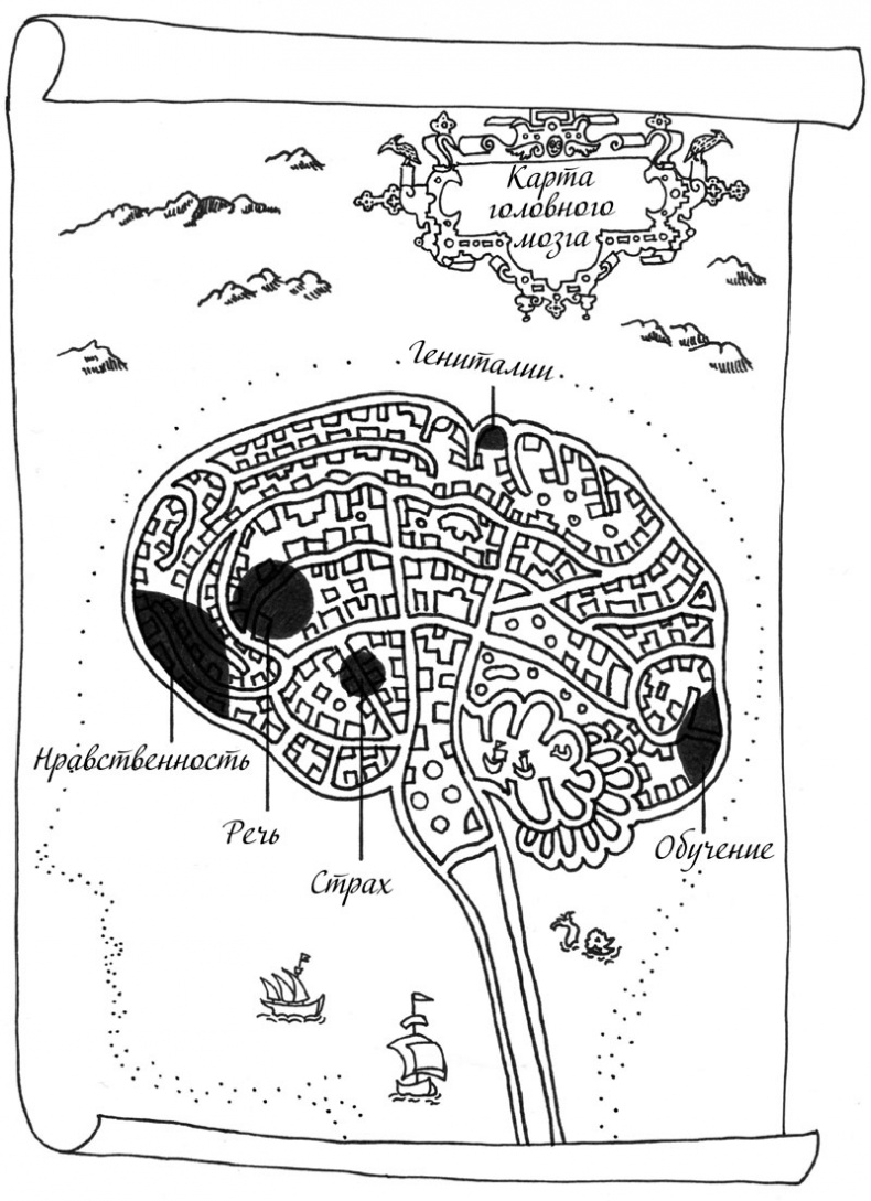 Иллюстрация к книге — Очаровательный кишечник. Как самый могущественный орган управляет нами [i_020.jpg]