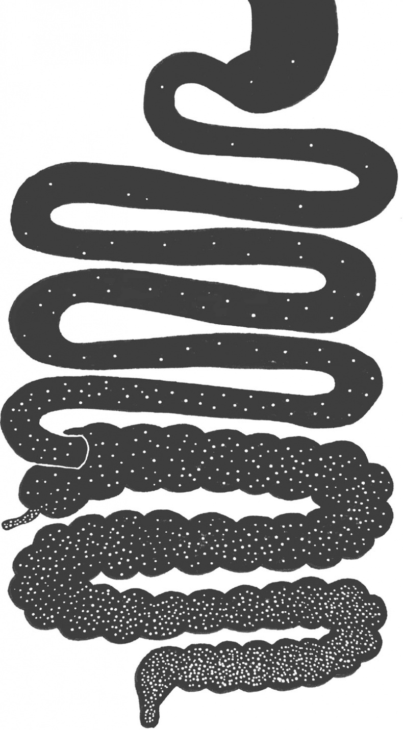 Иллюстрация к книге — Очаровательный кишечник. Как самый могущественный орган управляет нами [i_024.jpg]