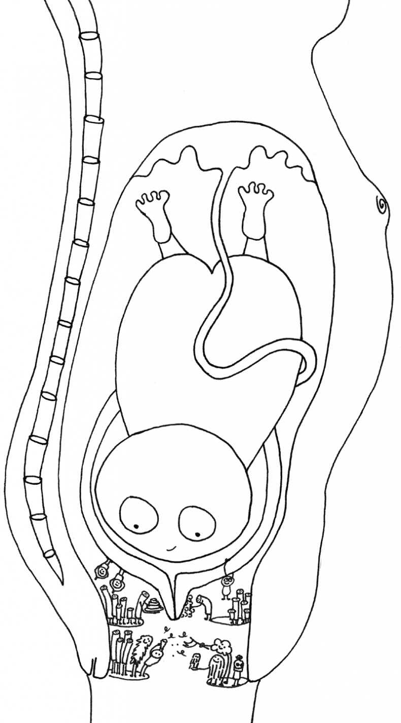 Иллюстрация к книге — Очаровательный кишечник. Как самый могущественный орган управляет нами [i_026.jpg]