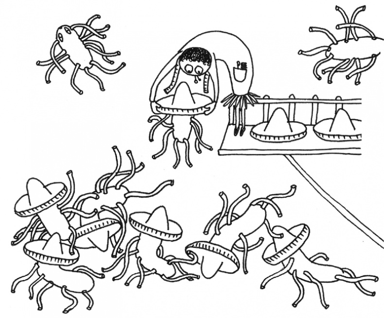 Иллюстрация к книге — Очаровательный кишечник. Как самый могущественный орган управляет нами [i_029.jpg]