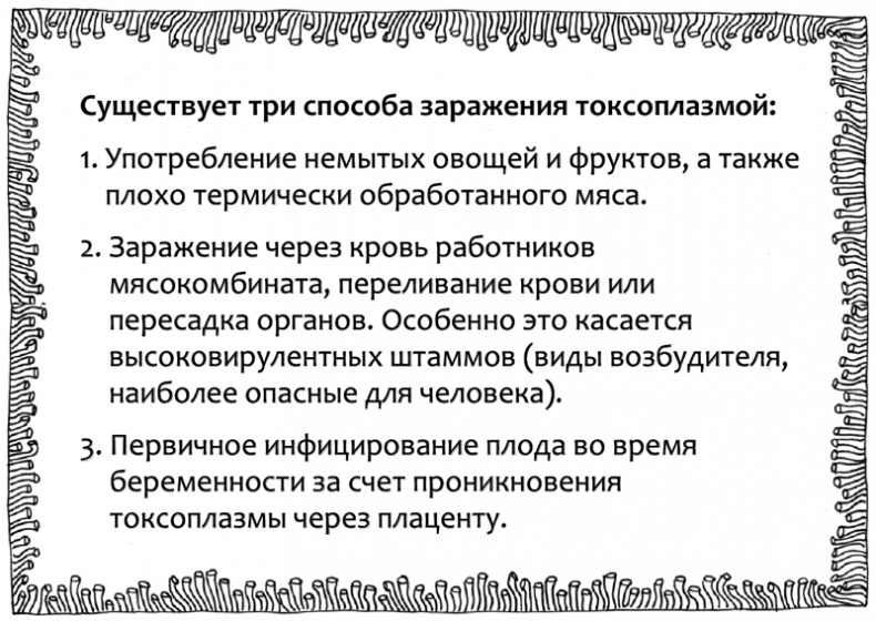 Иллюстрация к книге — Очаровательный кишечник. Как самый могущественный орган управляет нами [i_033.jpg]