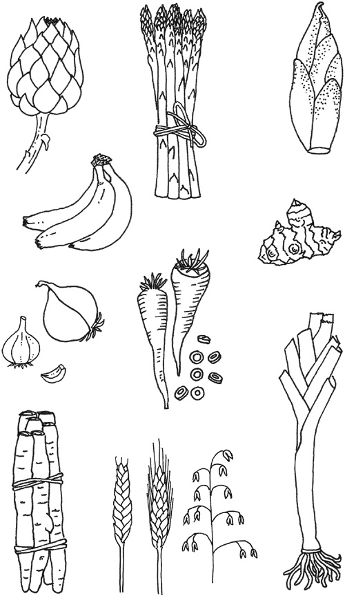 Иллюстрация к книге — Очаровательный кишечник. Как самый могущественный орган управляет нами [i_042.jpg]