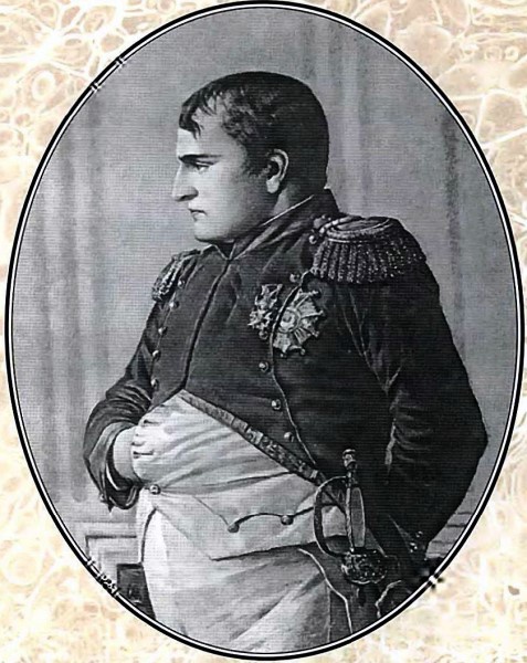 Иллюстрация к книге — История похода в Россию. Мемуары генерал-адъютанта [i_001.jpg]