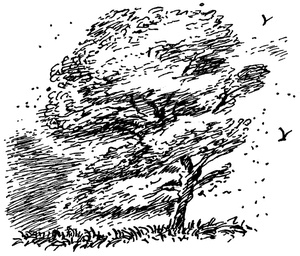 Иллюстрация к книге — Квартет Дейлмарка. Книга 4. Корона Дейлмарка [i_009.jpg]