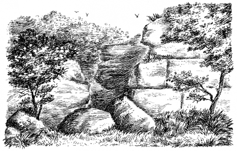 Иллюстрация к книге — Квартет Дейлмарка. Книга 4. Корона Дейлмарка [i_042.jpg]