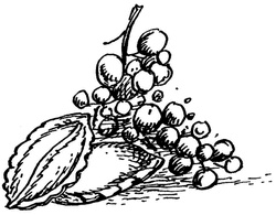 Иллюстрация к книге — Квартет Дейлмарка. Книга 4. Корона Дейлмарка [i_046.jpg]