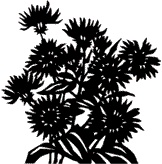 Иллюстрация к книге — Древние. Возвышение [i_006.jpg]