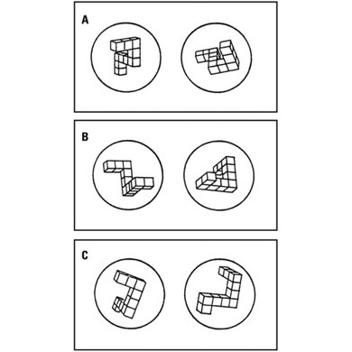 Иллюстрация к книге — Мозг на пенсии. Научный взгляд на преклонный возраст [i_017.jpg]
