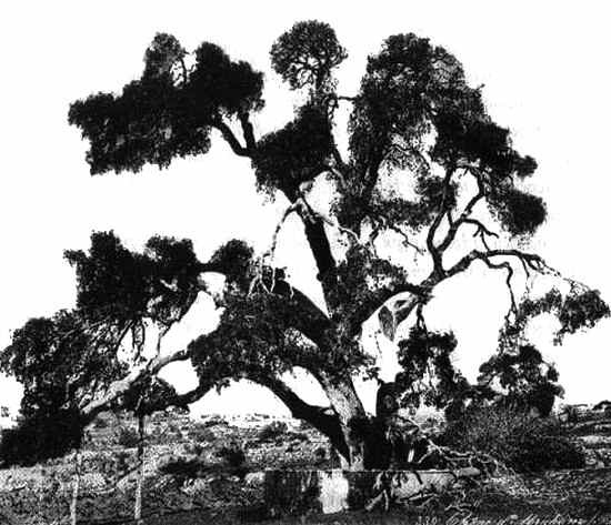 Иллюстрация к книге — Человек с яйцом. Жизнь и мнения Александра Проханова [i_022.jpg]