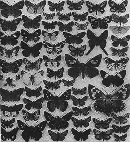 Иллюстрация к книге — Человек с яйцом. Жизнь и мнения Александра Проханова [i_080.jpg]