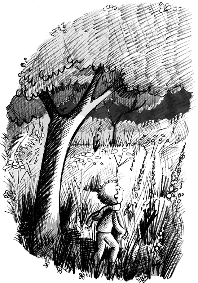 Иллюстрация к книге — Джордж и тайны Вселенной [i_008.jpg]