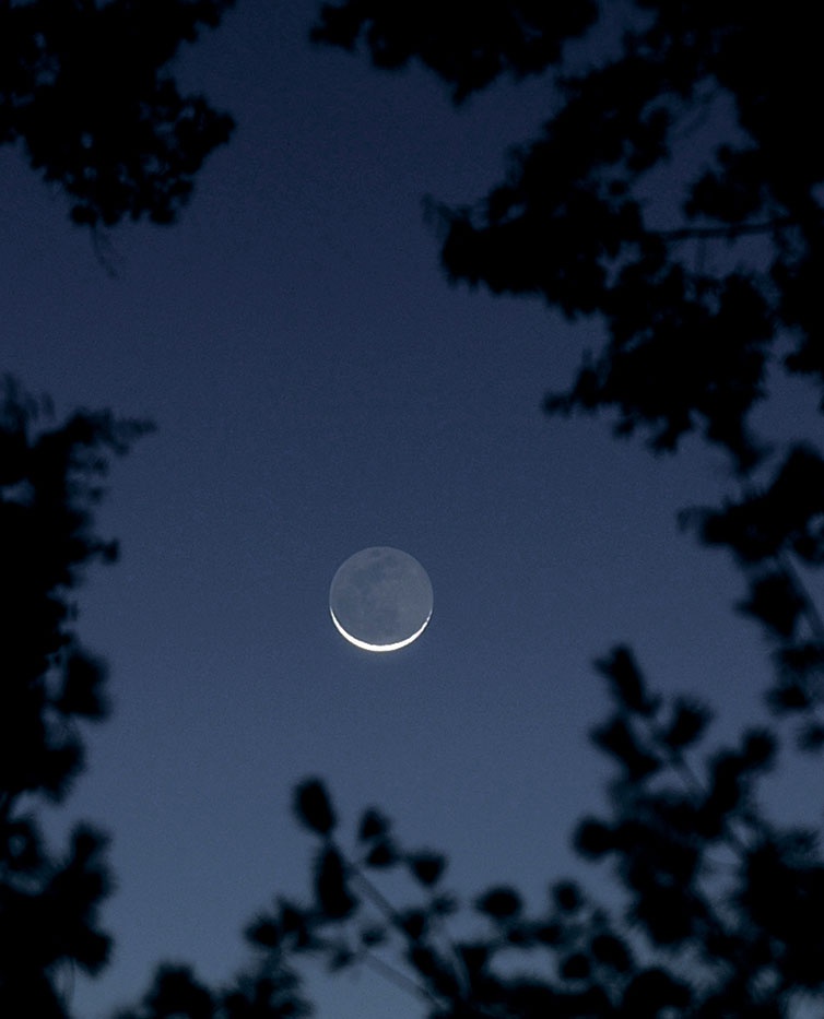 Иллюстрация к книге — Джордж и тайны Вселенной [i_045.jpg]