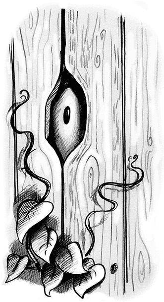 Иллюстрация к книге — Джордж и тайны Вселенной [i_101.jpg]